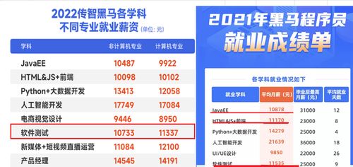 软件开发与软件测试 如何选择适合你的网络技术服务职业道路？